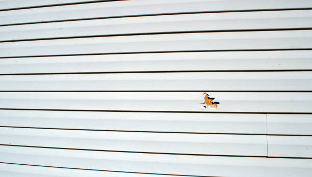 Best Engineered Wood Siding  in Suwanee, GA